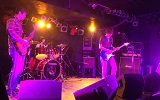Live #29-2