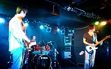 Live #33-1